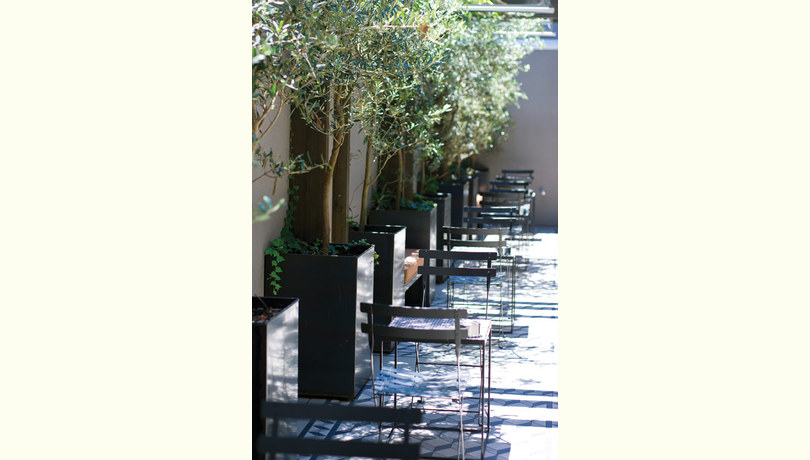 The botanical bar terrace 02