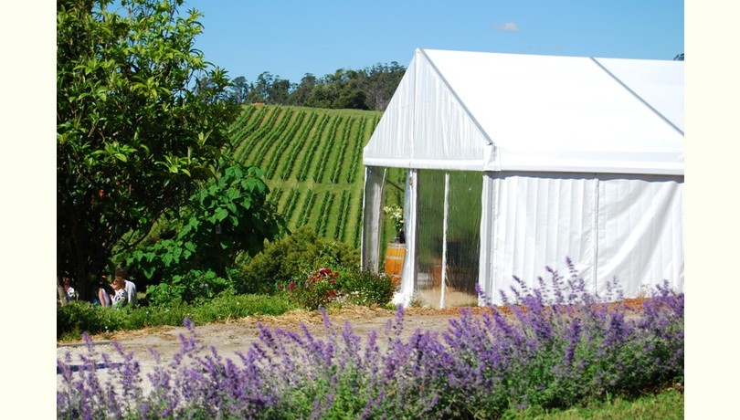 Marquee side   low res